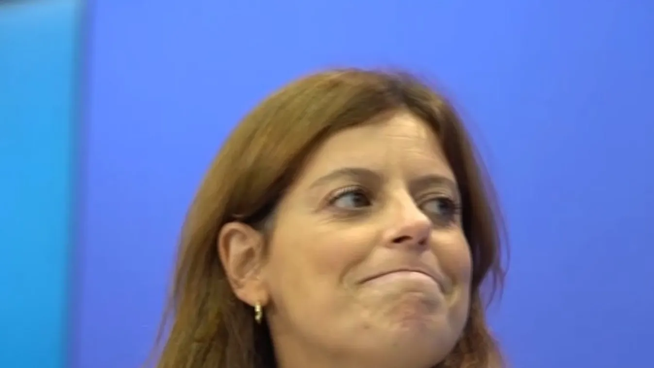 Az olasz kormánypártok szerint az EP Orbán Viktornak akart üzenni Salis felmentésével  + videó