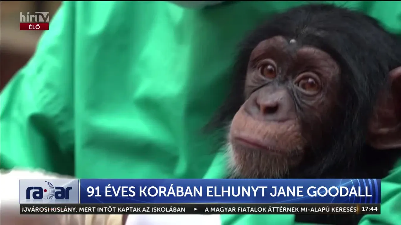Radar – 91 éves korában elhunyt Jane Goodall