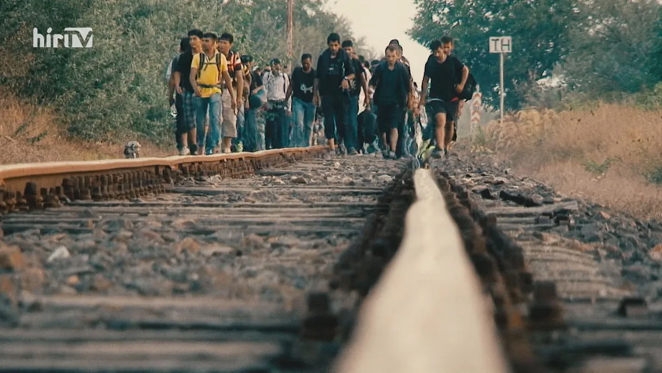 Nőtt júliusban az afgánok által beadott menedékkérelmek száma az EU-ban