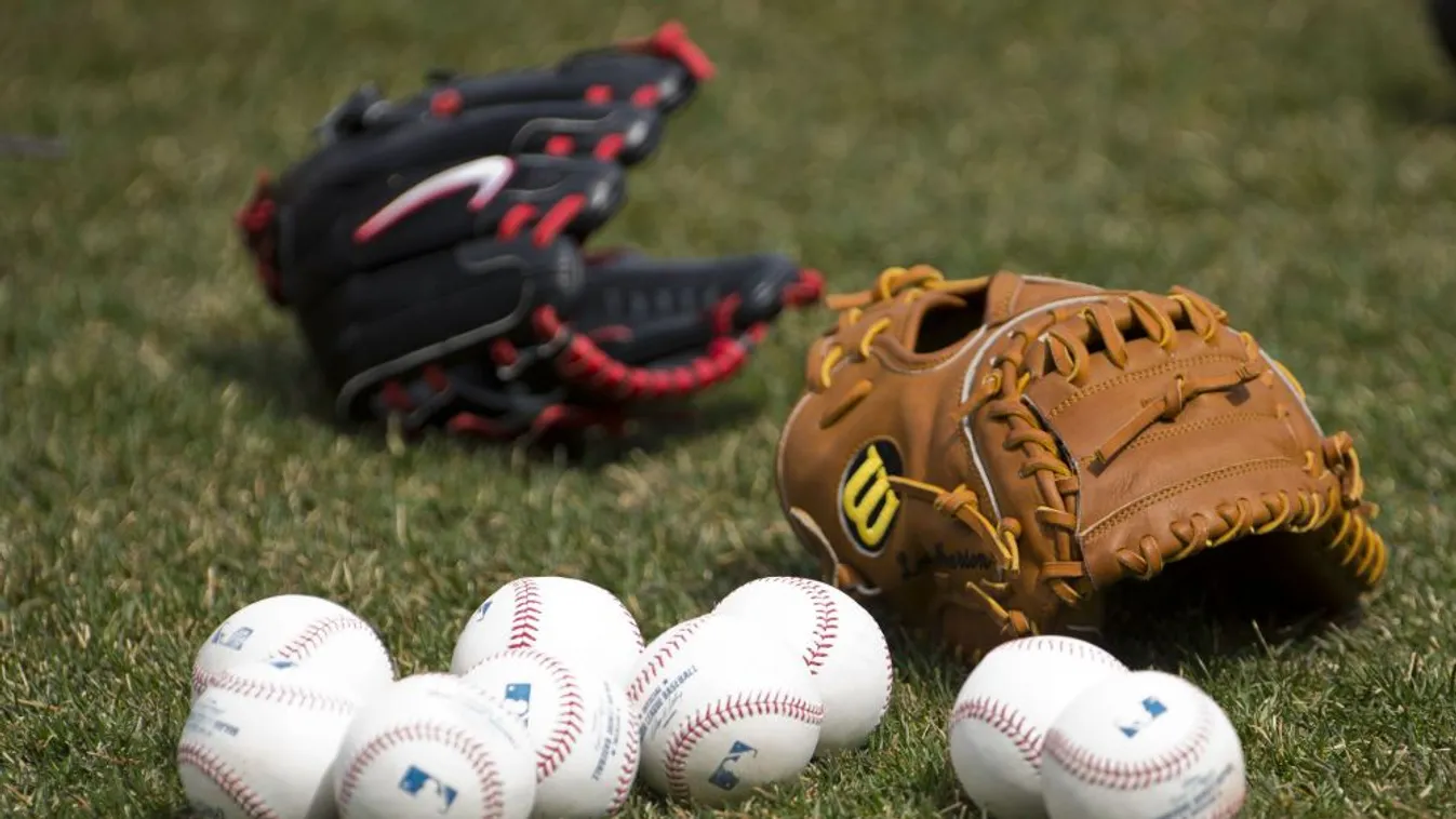 Ünnepi rendezvényt szervez a 25 éves baseballszövetség