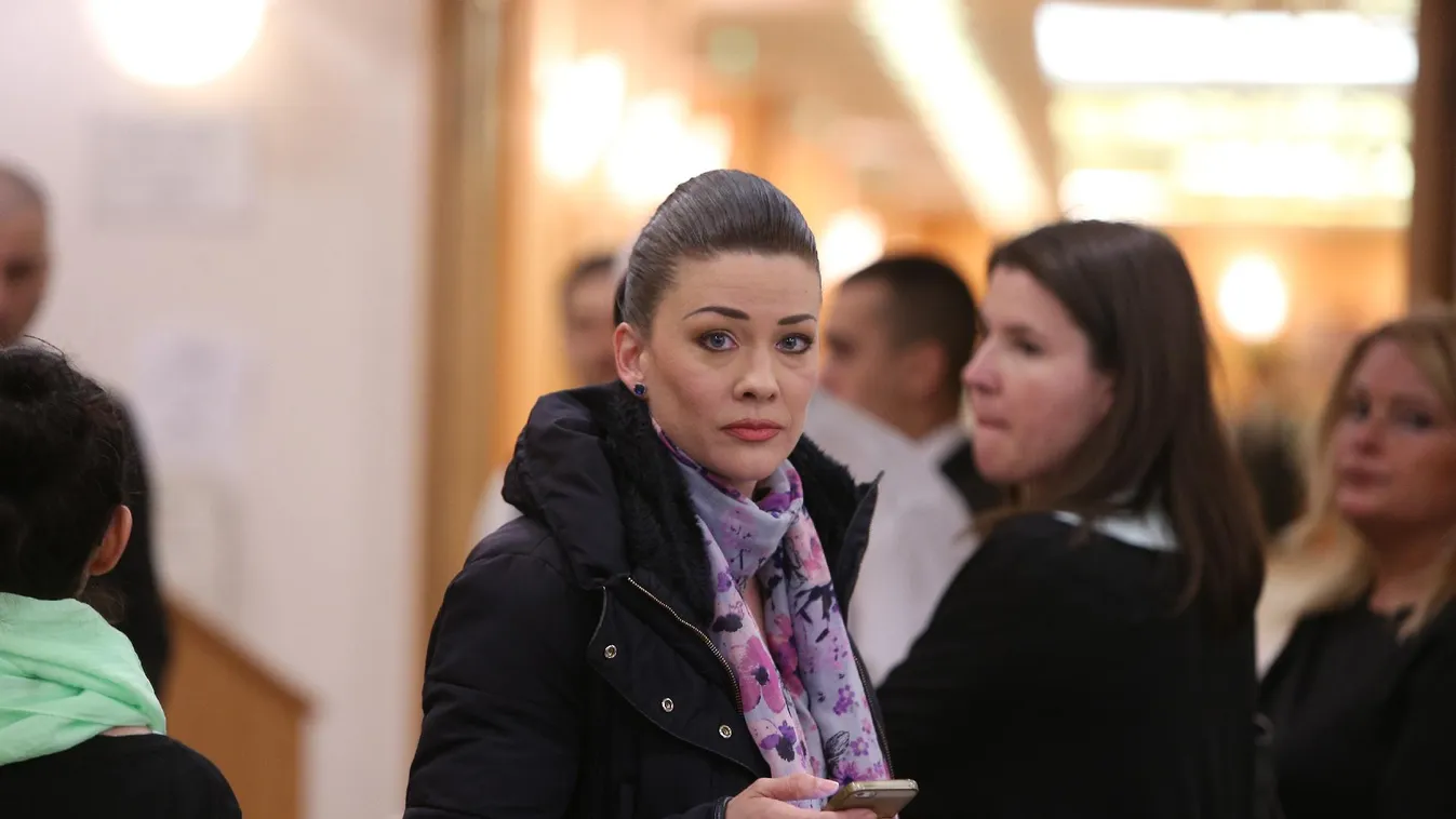 Demeter-ügy – Lapzárta