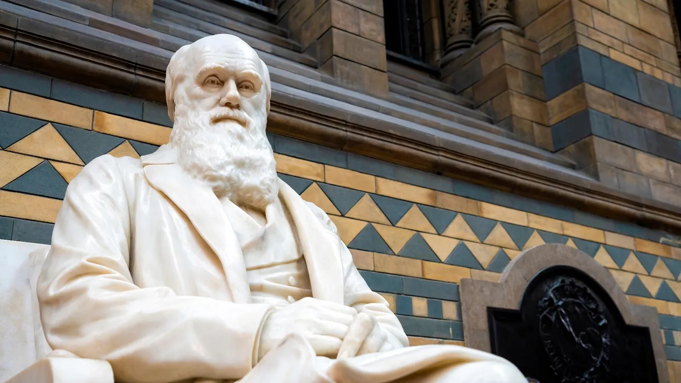 Akár egymillió fontért is elkelhet Darwin egy aláírt kézirata