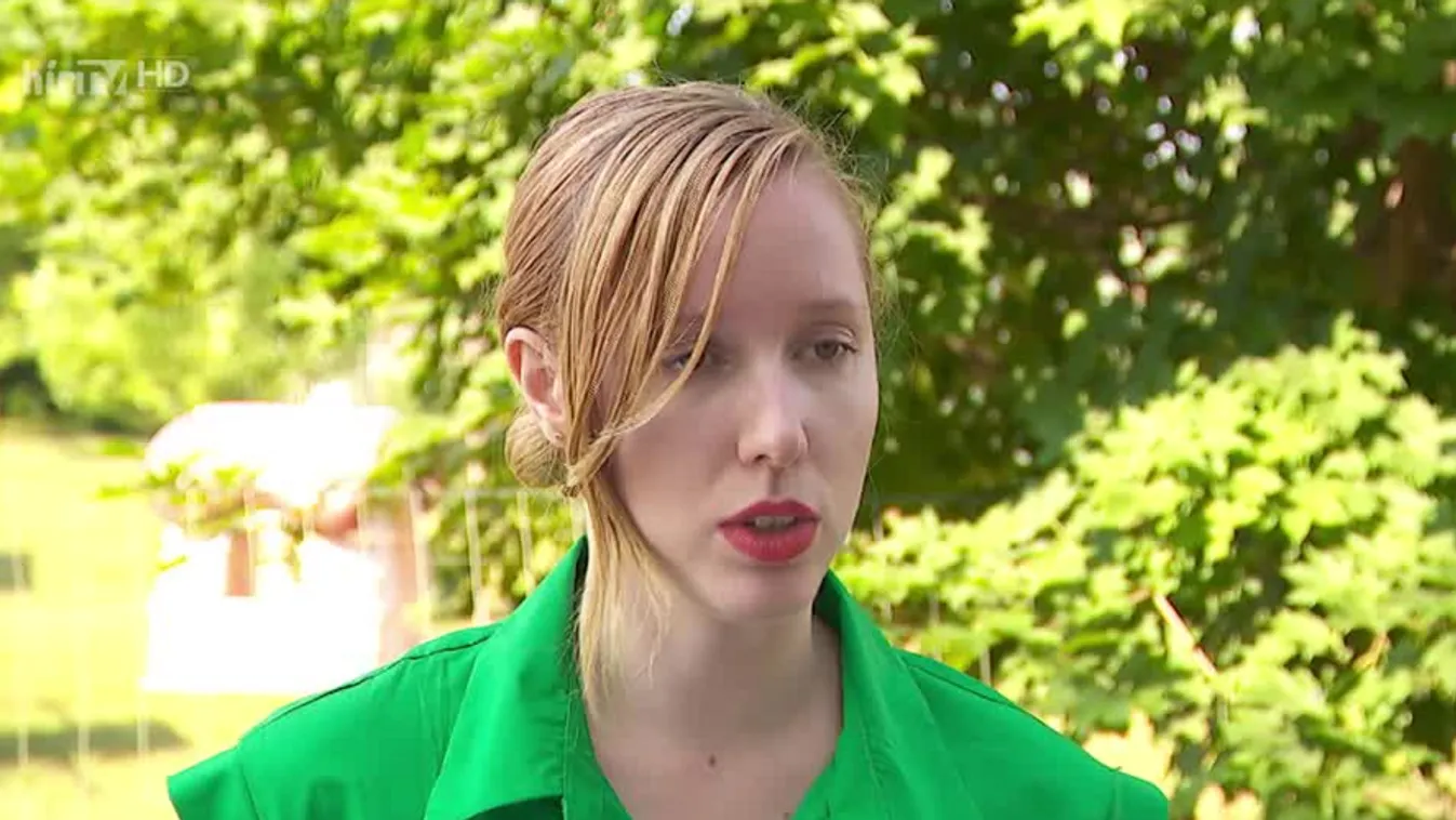 Az LMP ismét a Samsung gödi akkumulátorgyára ellen hergelt