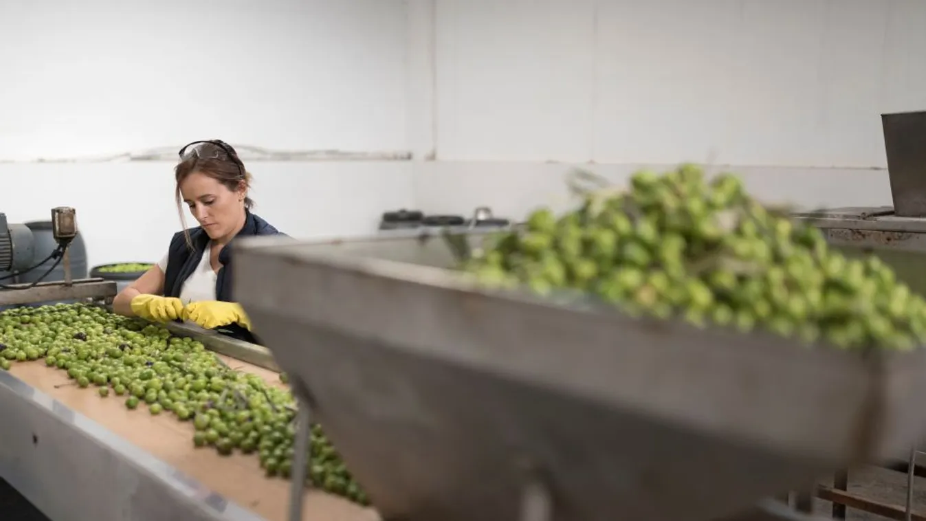 A kormány 750 milliárd forintos adócsökkentéssel segíti a vállalkozásokat