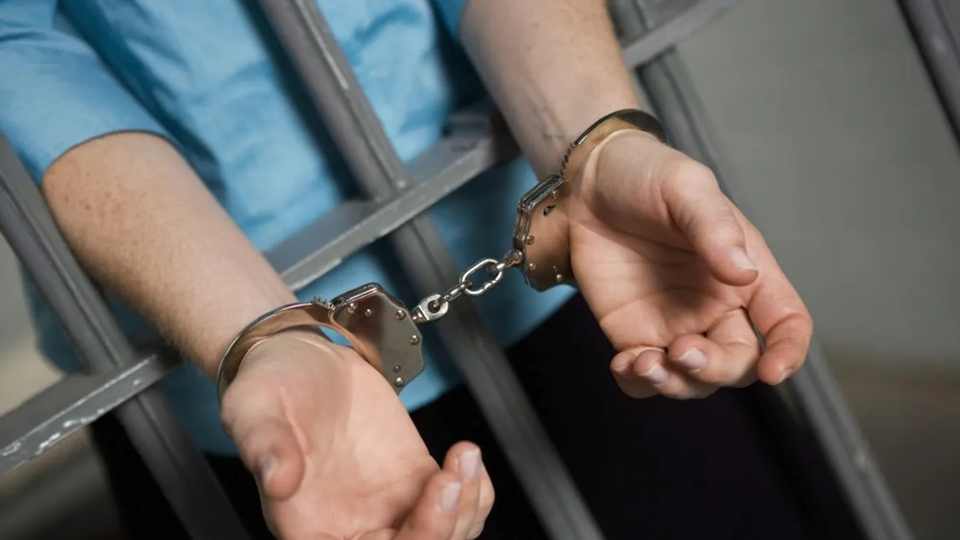 Hét évre ítélték az MSZP korrupciós ügyeiről kipakoló vállalkozót