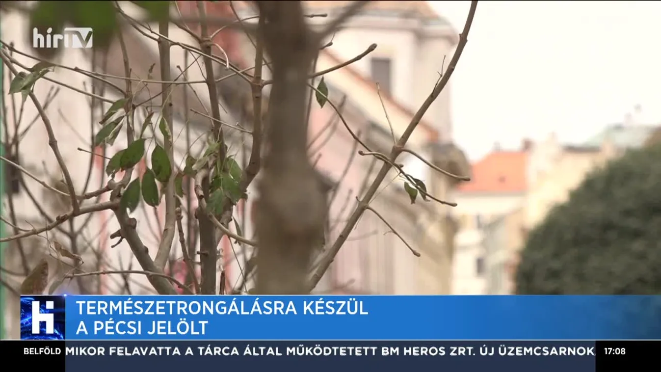 Természetrongálásra készül a pécsi jelölt