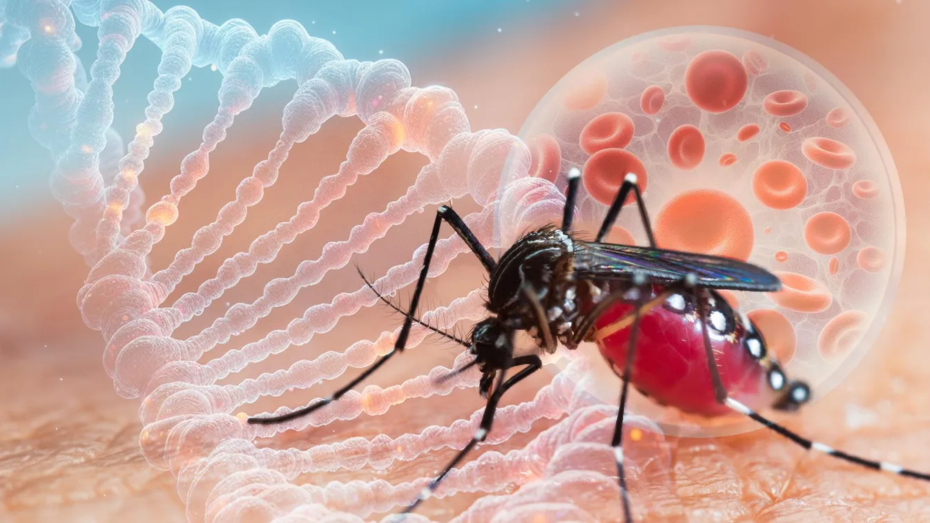 Járványokat is okozhatnak a már megjelent új szúnyogfajok