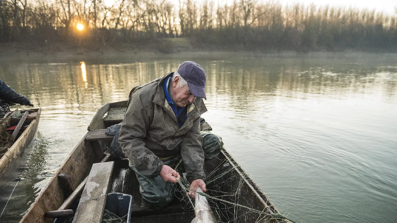 Süllőt fogna? Irány a Balaton!