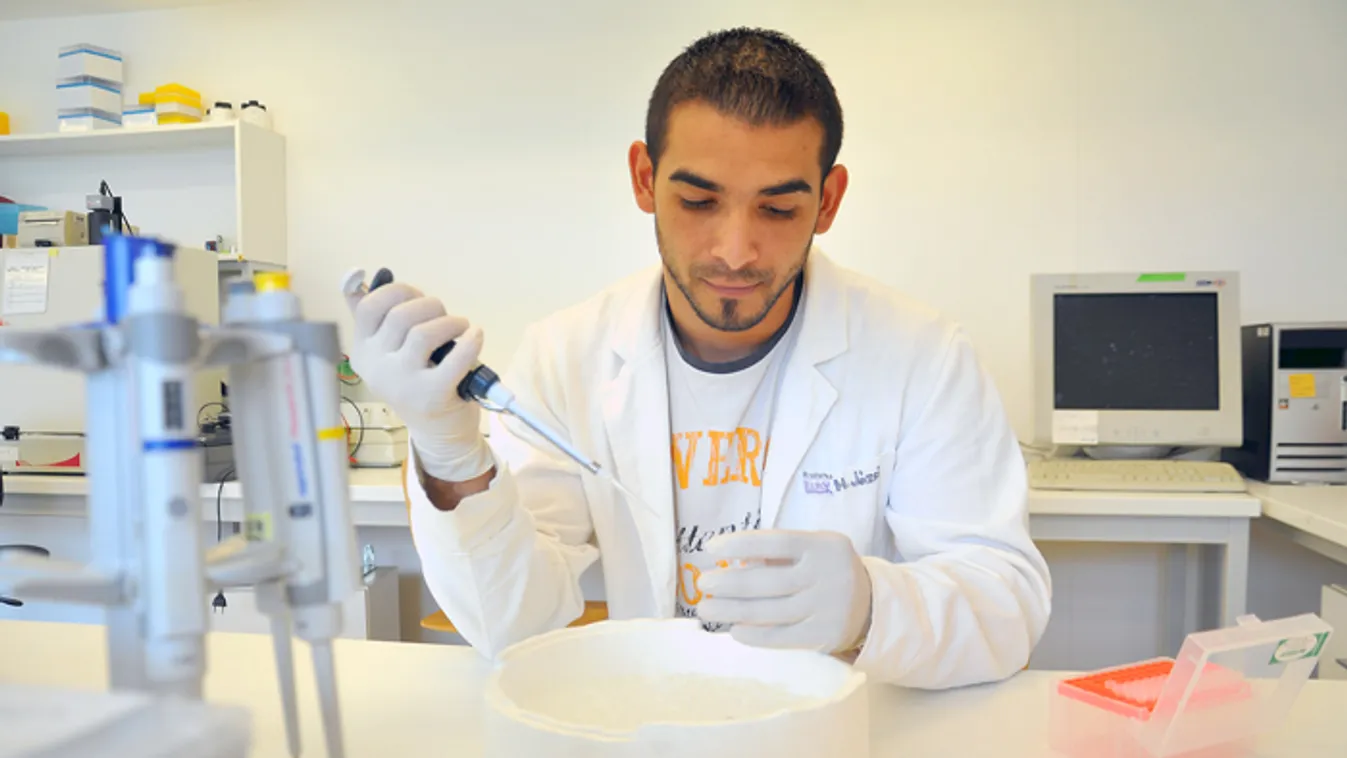 Ösztöndíj a cigány értelmiségért