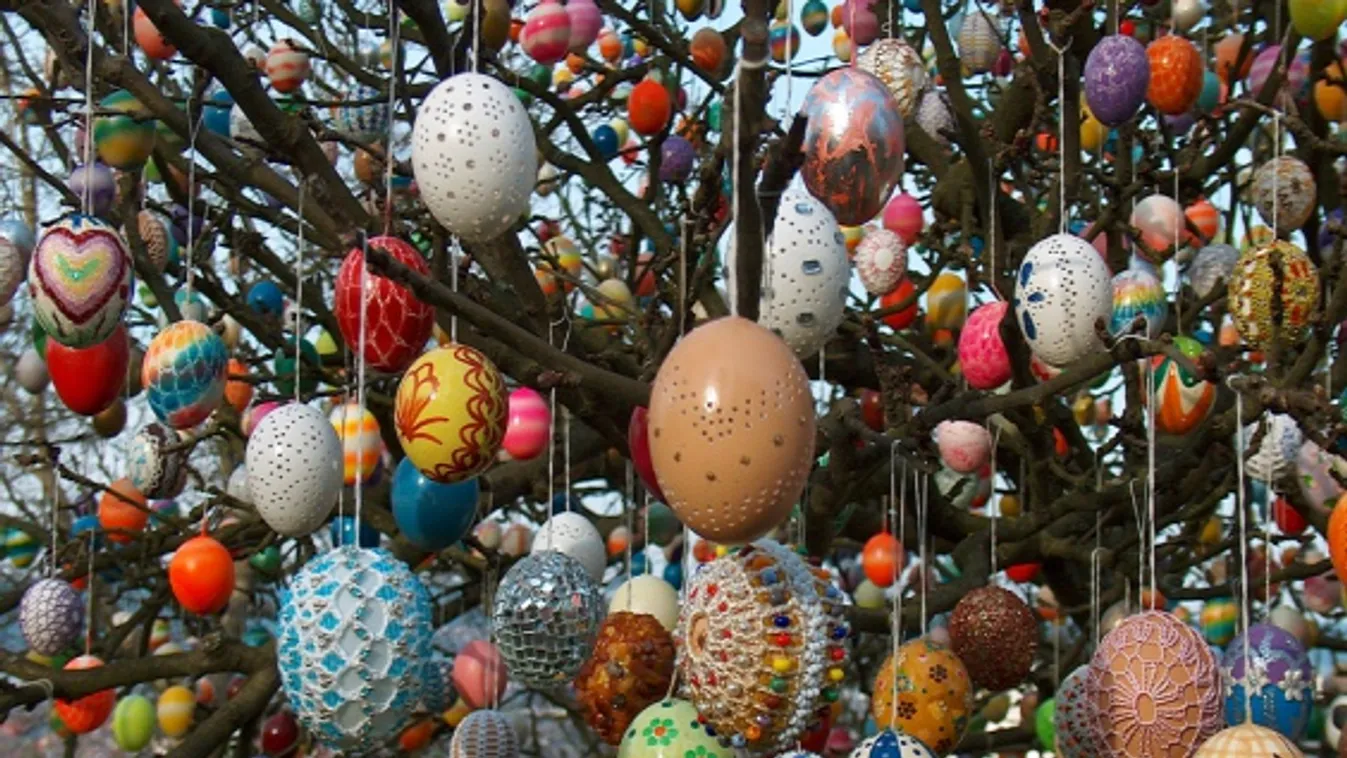 Már 2500 tojás díszíti a tojásfát