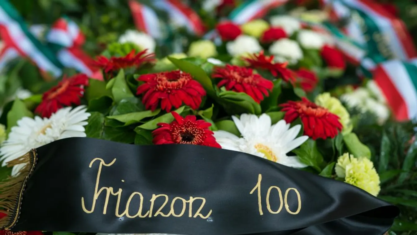 Megszavazta a Trianon-törvényt a román szenátus