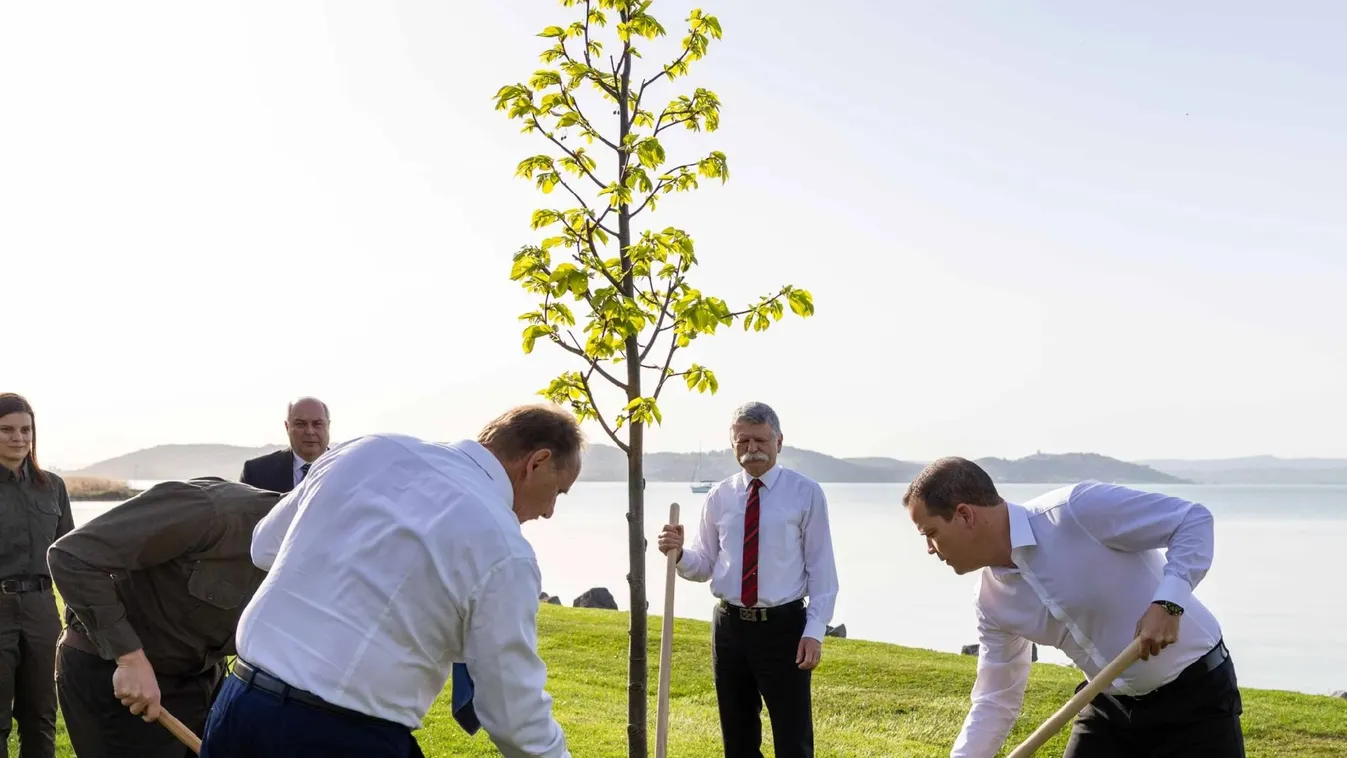 A Zöld Magyarország program részeként 50 millió facsemete kerül ültetésre évente