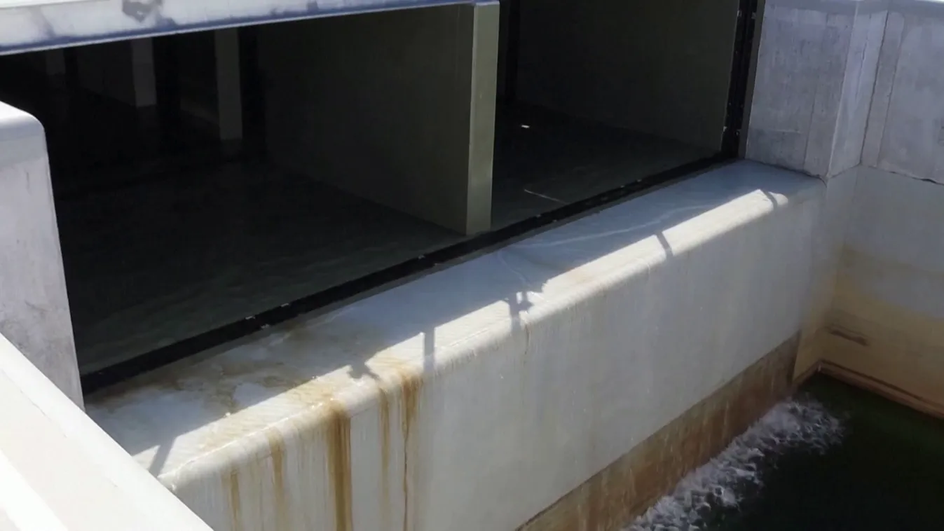 „Nem radioaktív a tenger vize az atomerőmű környékén”