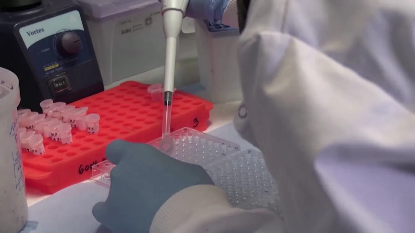 Enyhítenek a britek a koronavírus-járvány miatt bevezetett szabályokon december 2-ától