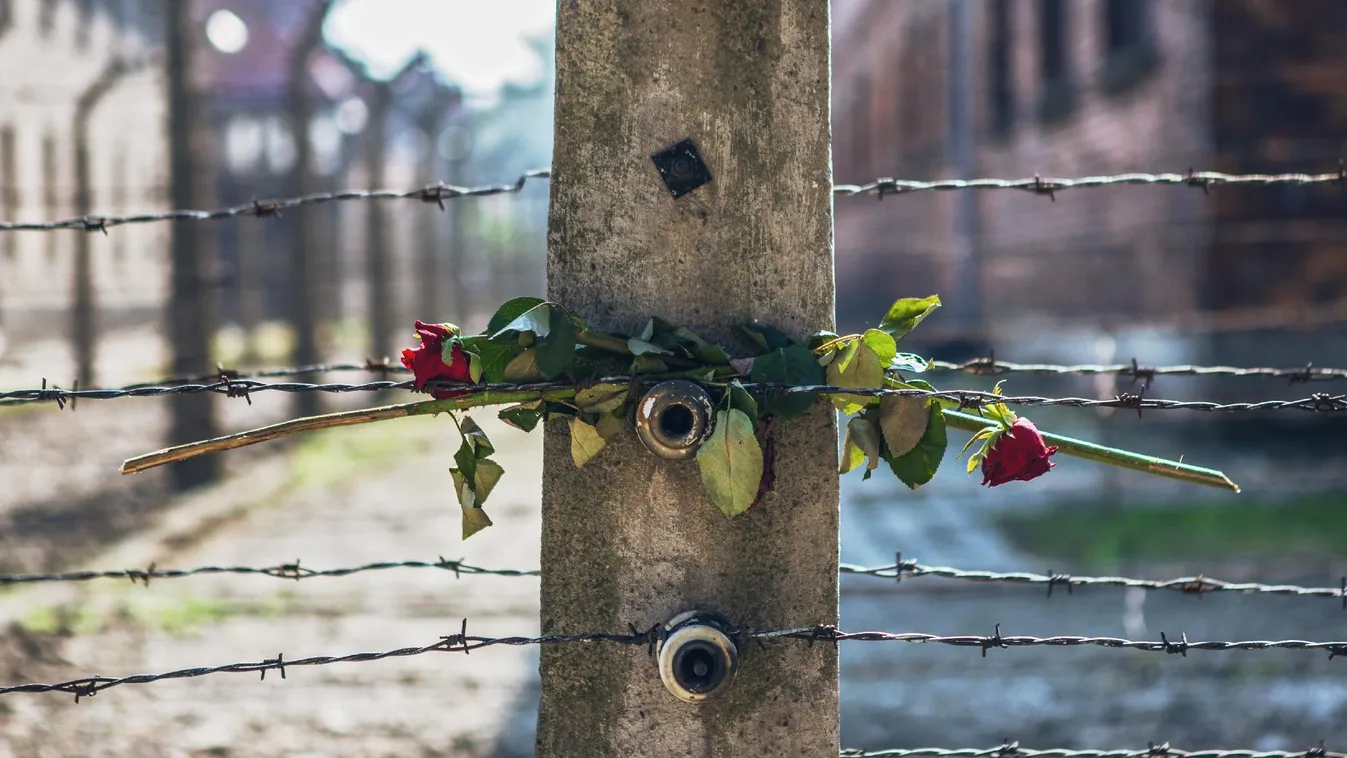 Elzarándokol Auschwitzba III. Károly
