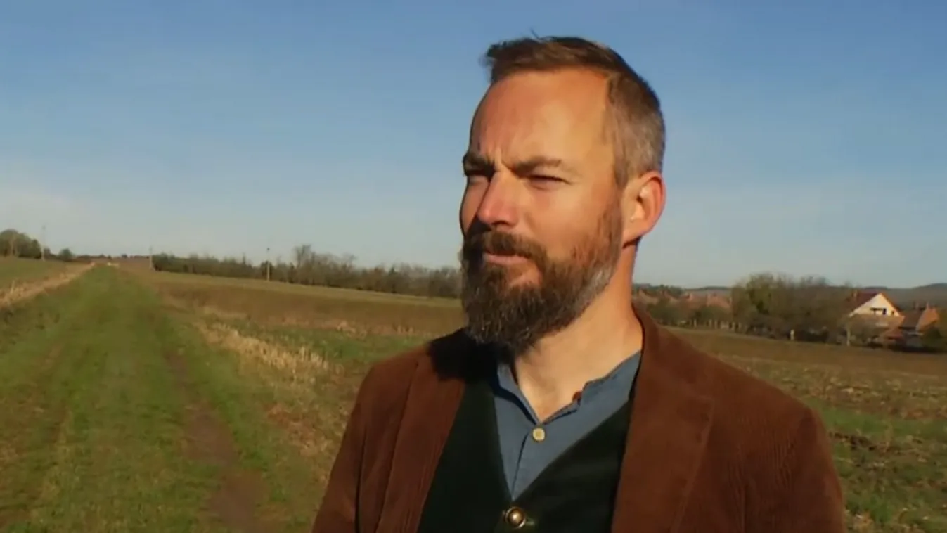 Napindító - Az ukrán gabona hatása a hazai agrárszektorra