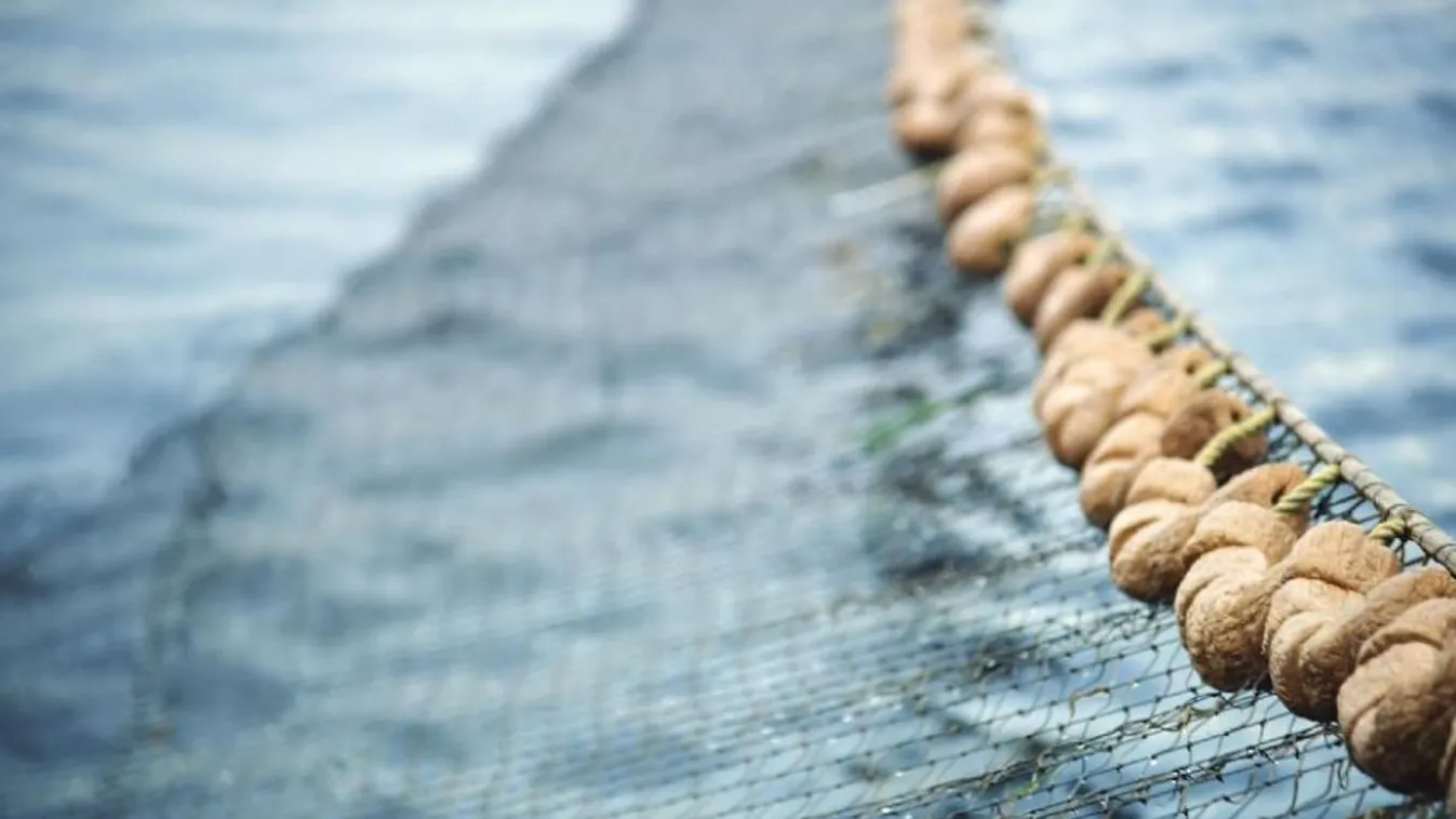 Orvhalász akadt horogra