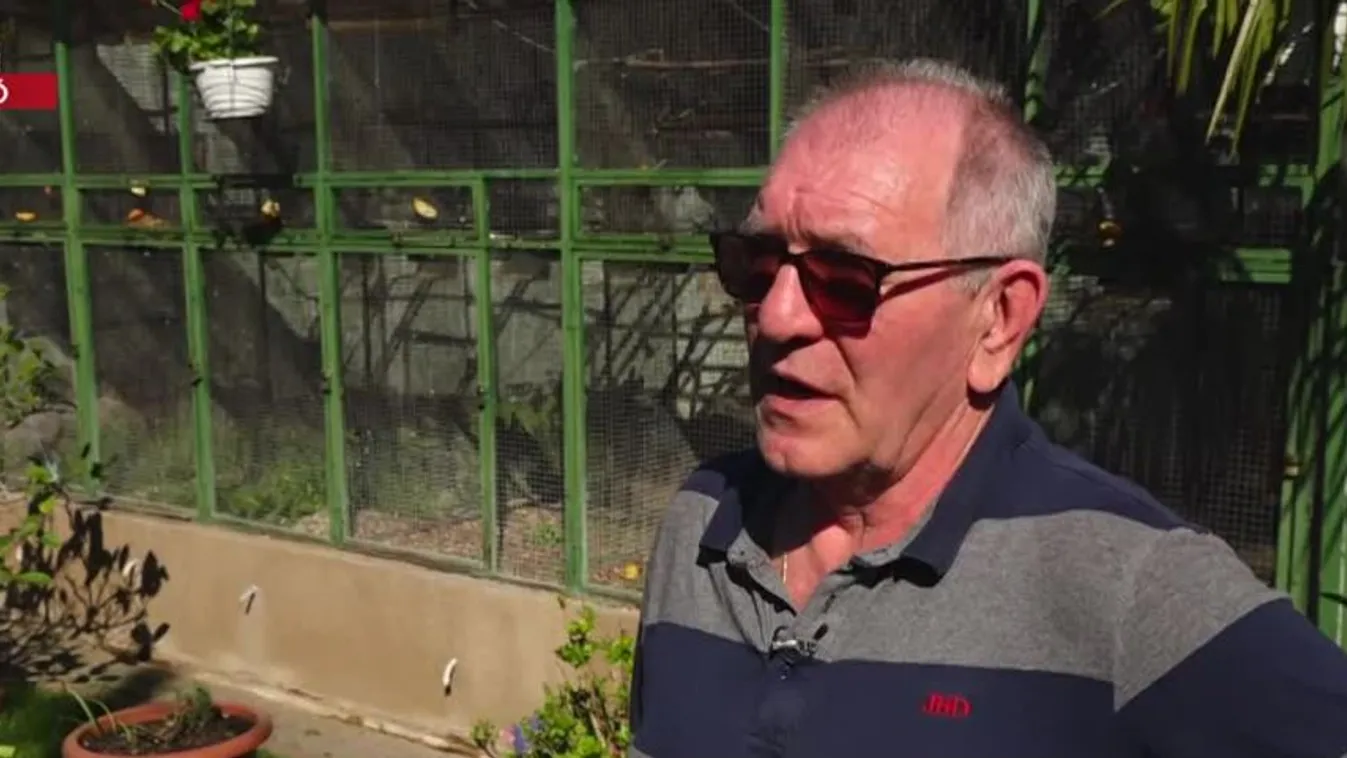 Radar: 70 papagáj a pécsi családban