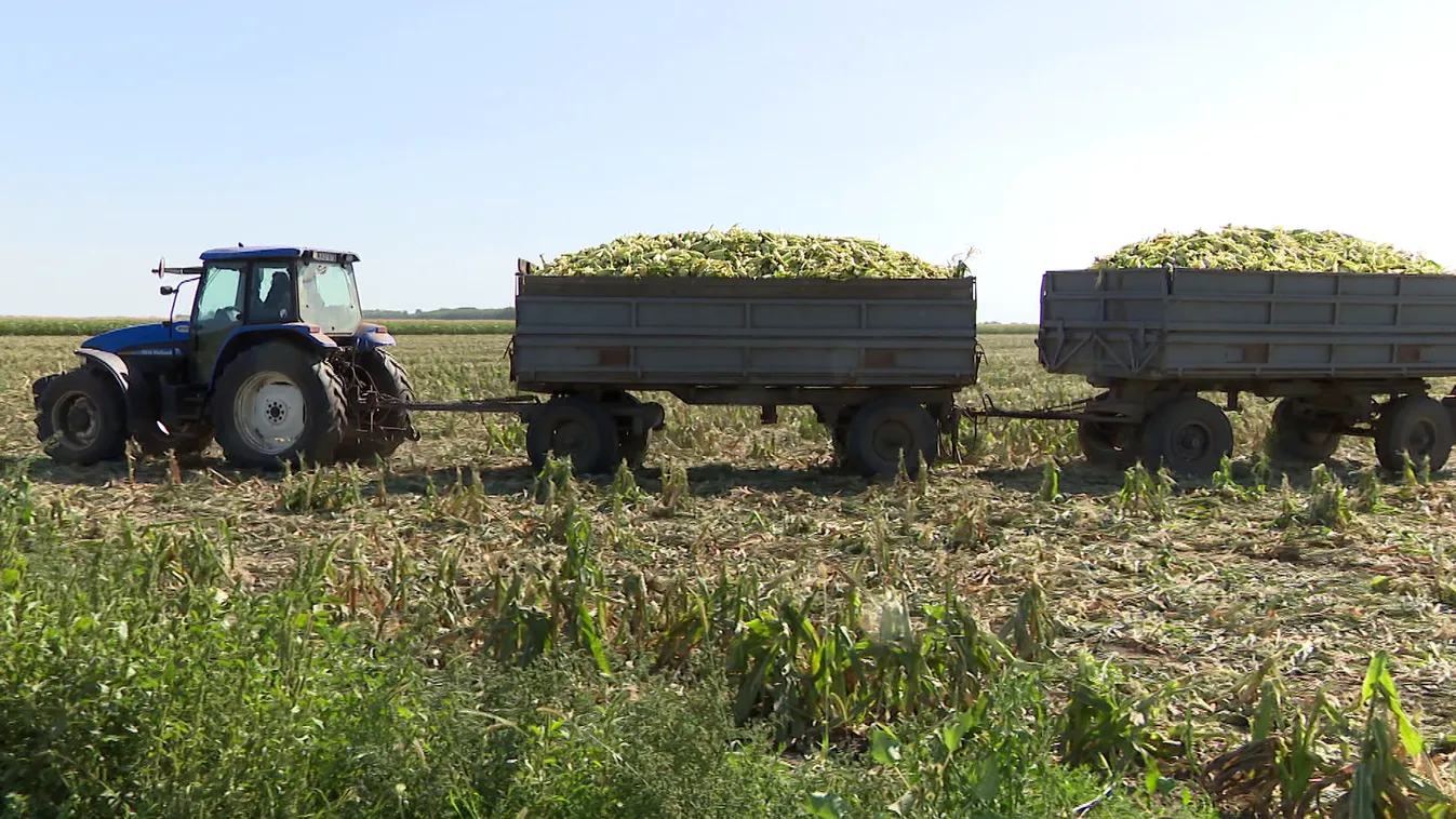 Földadót vezetne be Márki-Zay Péter