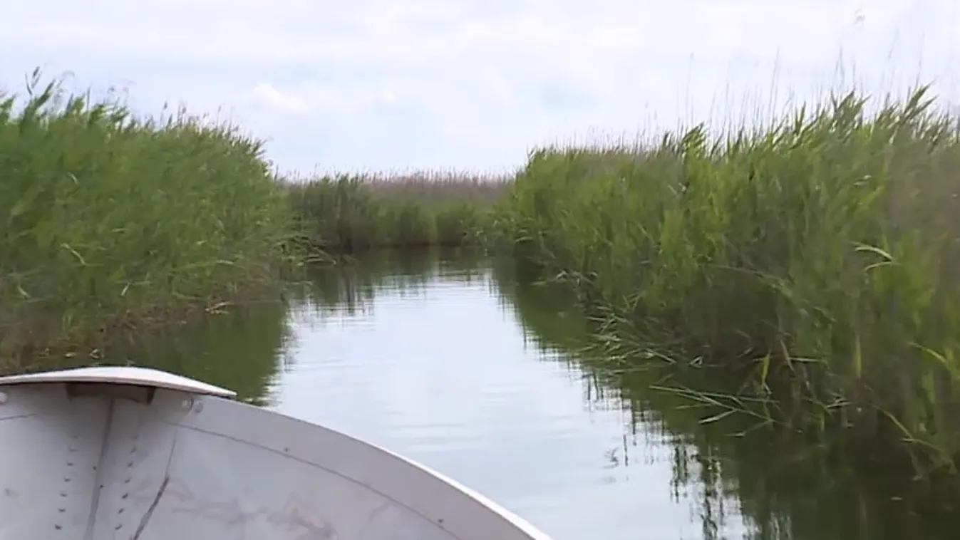 Az esőzések után jelentősen emelkedett a Fertő vízszintje