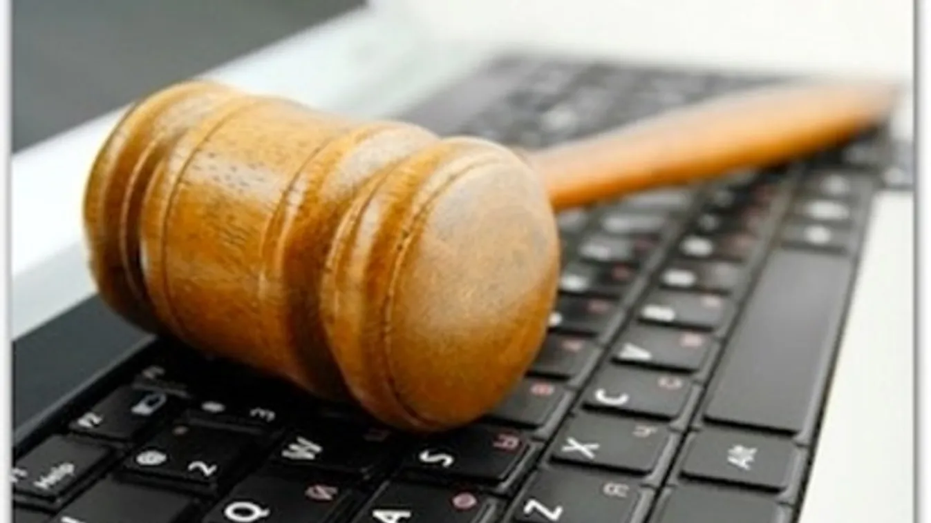 Egyévi letöltendő börtönre ítélték egy francia holokauszttagadót