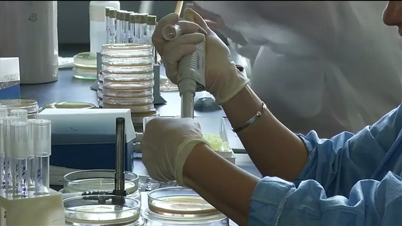 Nagy-Britanniában futótűzként terjed a kanyaró