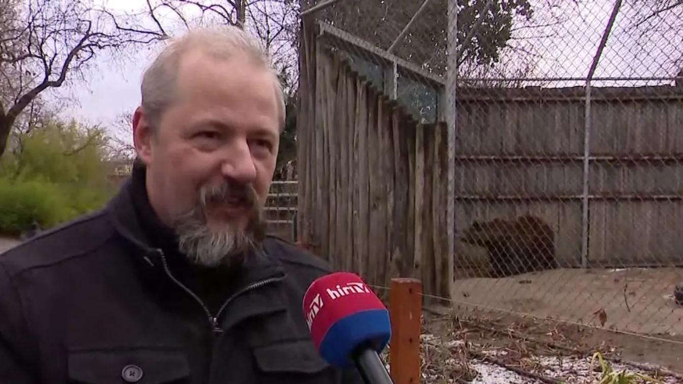 Mozaik - Hagyományos medveárnyék észlelés a fővárosi állatkertben