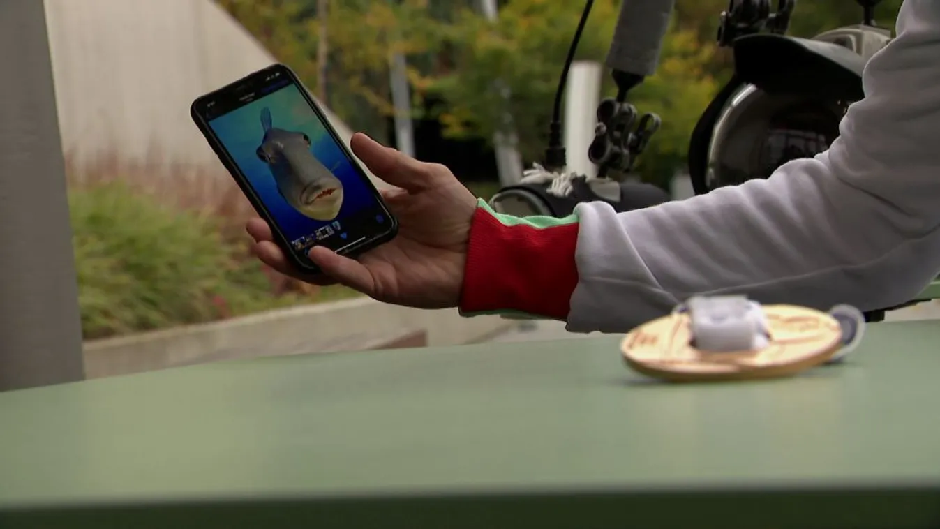 Világbajnok fotó a mélyből