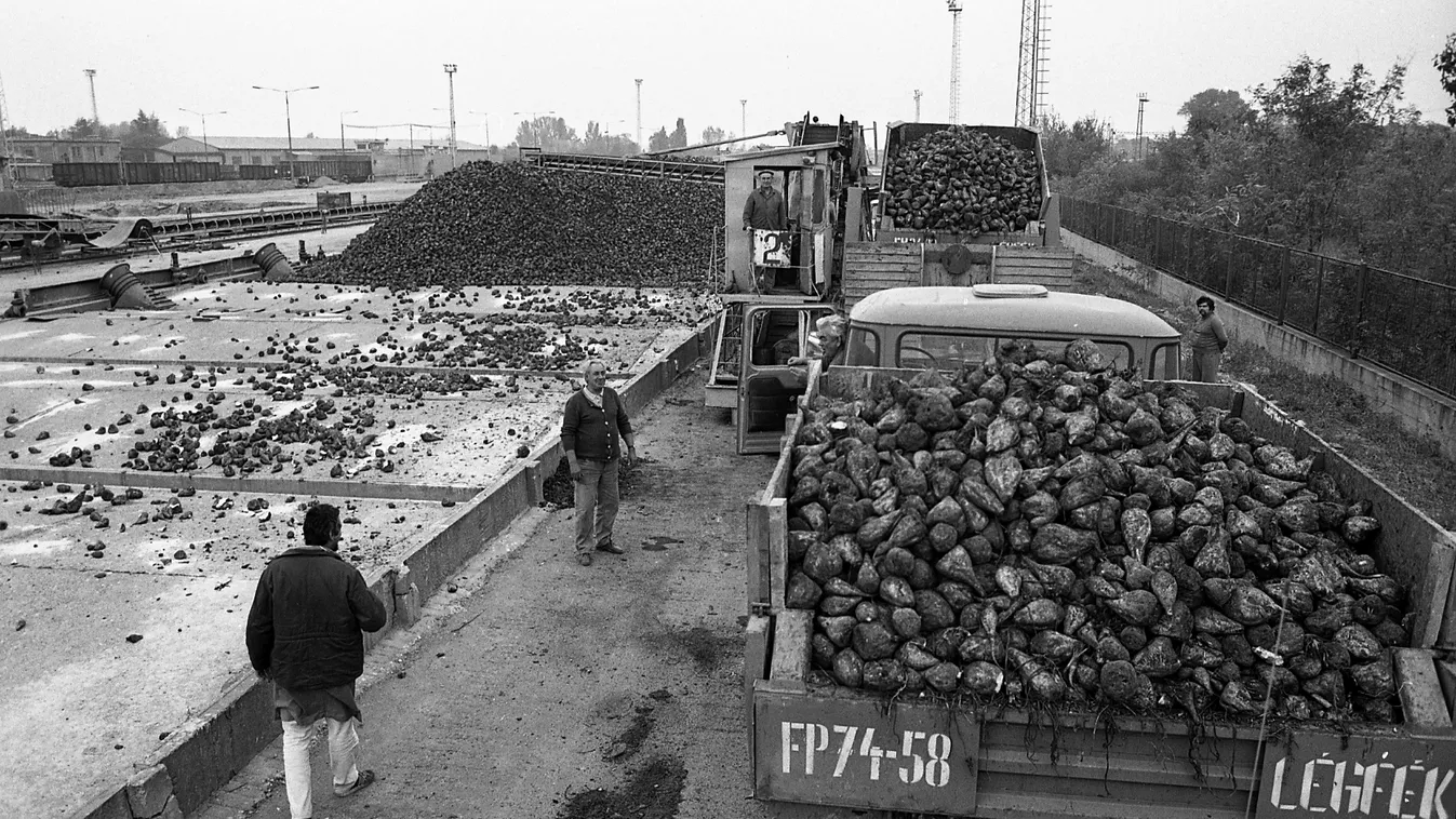 Semmi nem lett a volt kabai cukorgyár lakótelepén élők kártalanításából
