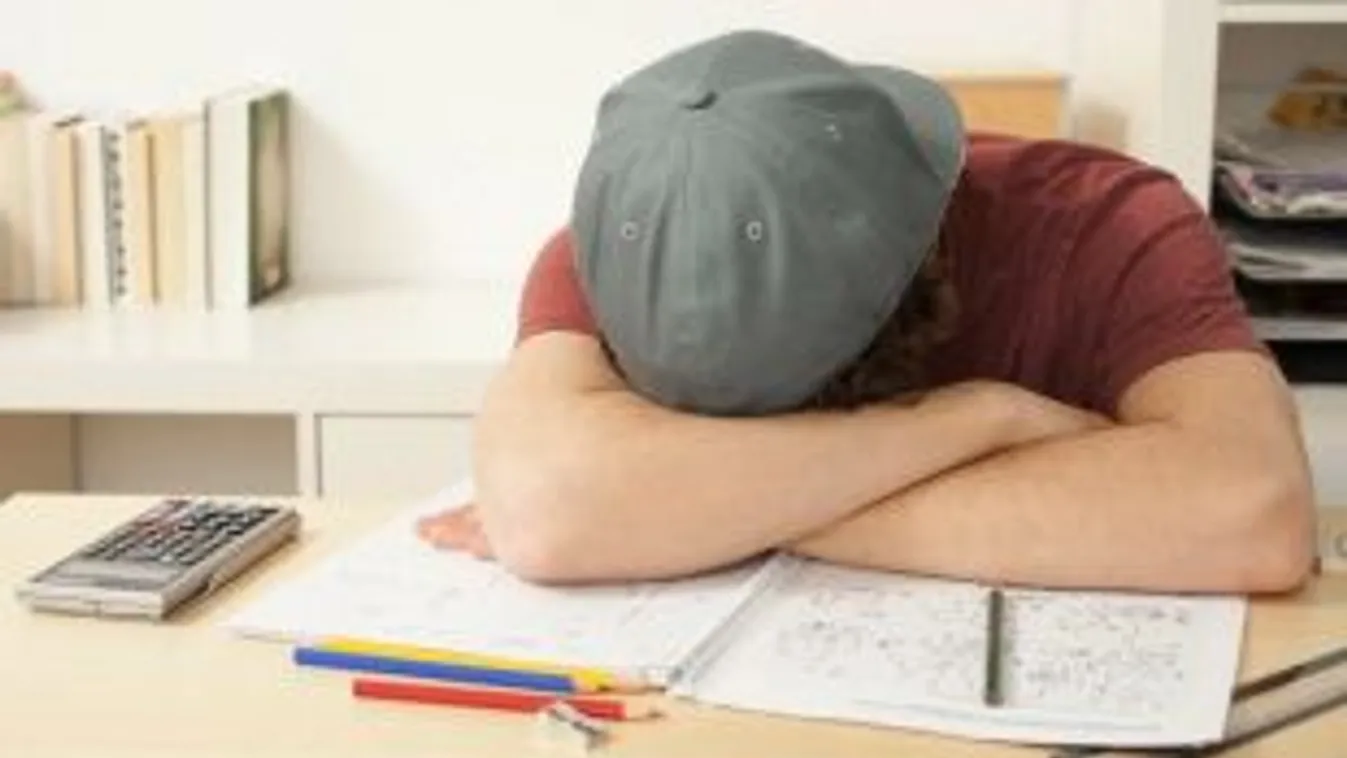 Alvó oroszlánok – Reggeli járat