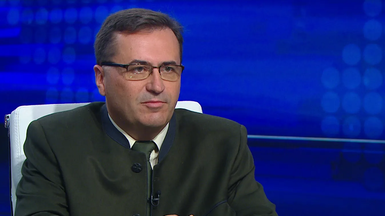 Erős túlzások és csúsztatások jelentek meg a fakitermeléssel kapcsolatban