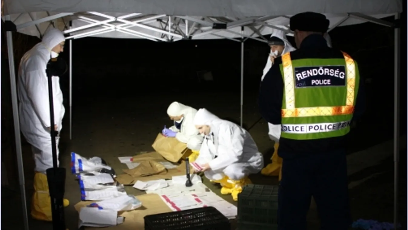 Megöltek egy idős férfit Dunaföldváron