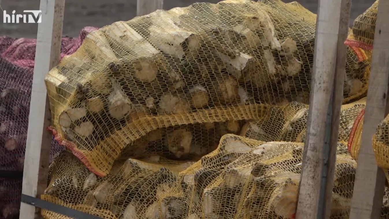 Soroló: Tormában nagyok vagyunk