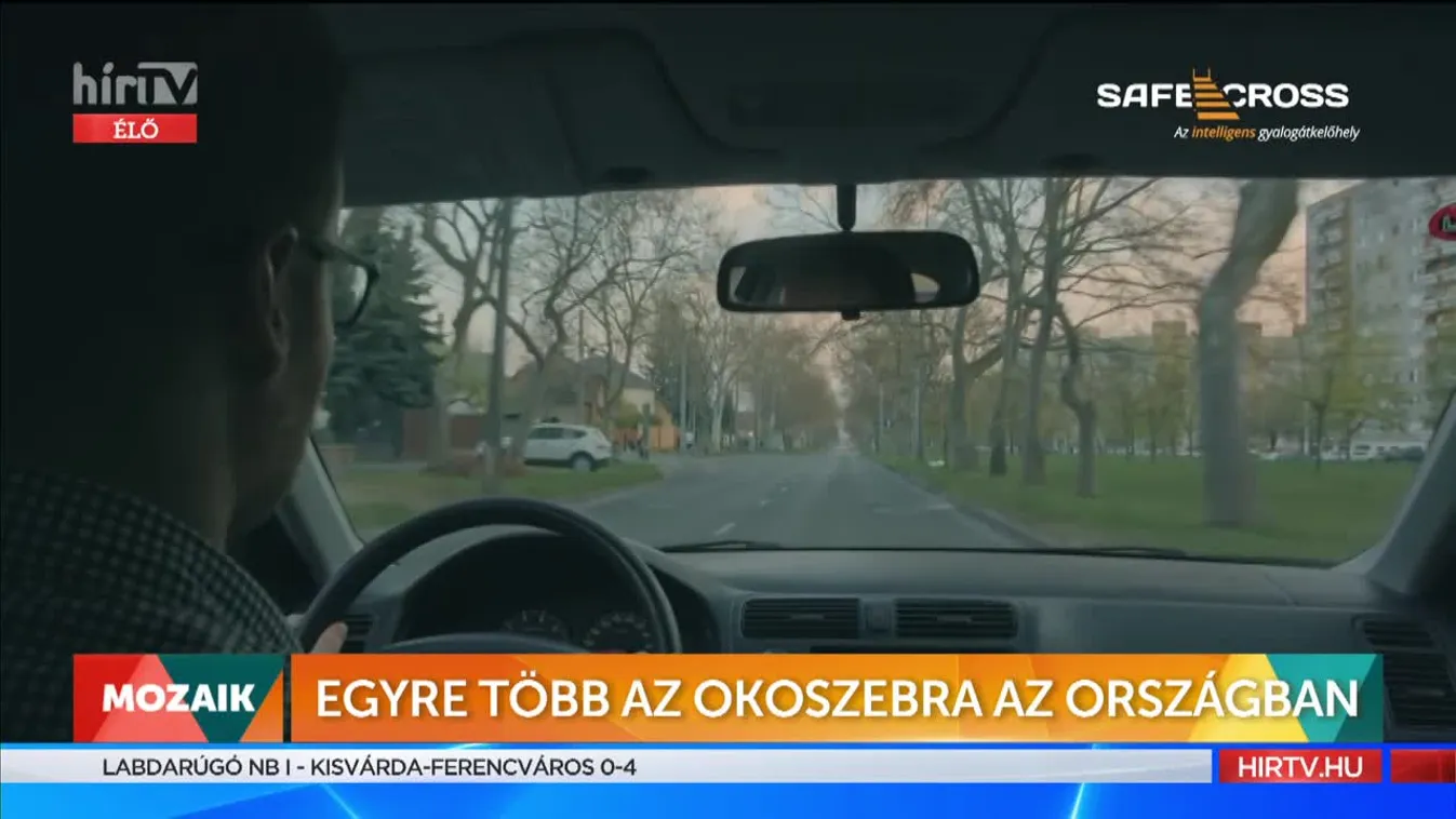 Mozaik: Egyre több az okoszebra az országban