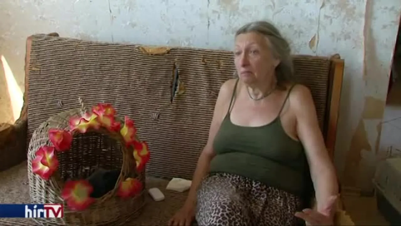 A 70 éves néni mellett a 15 macskát is kitették