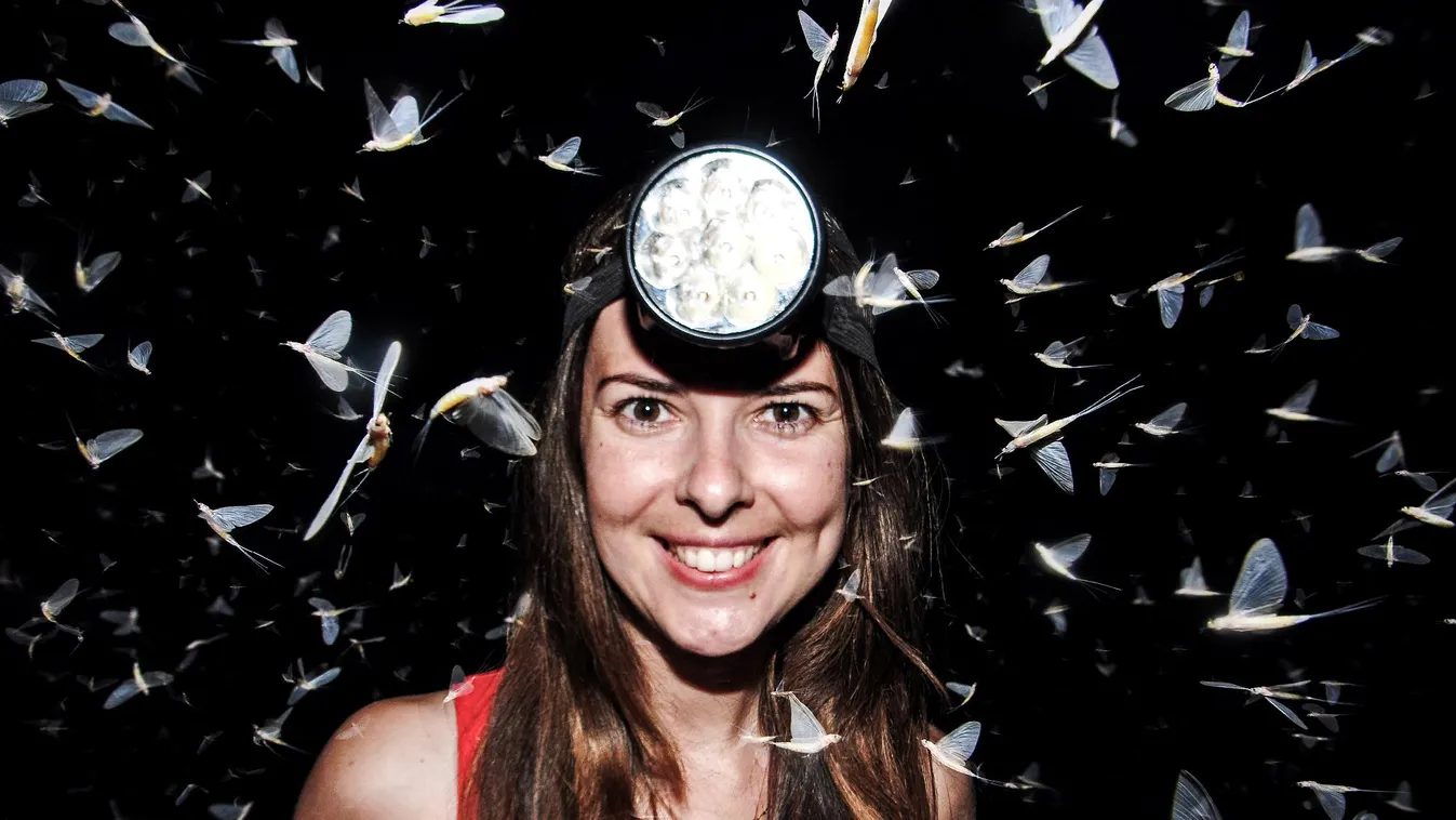 A vikingek napköveitől a fenyegető fénycsapdákig