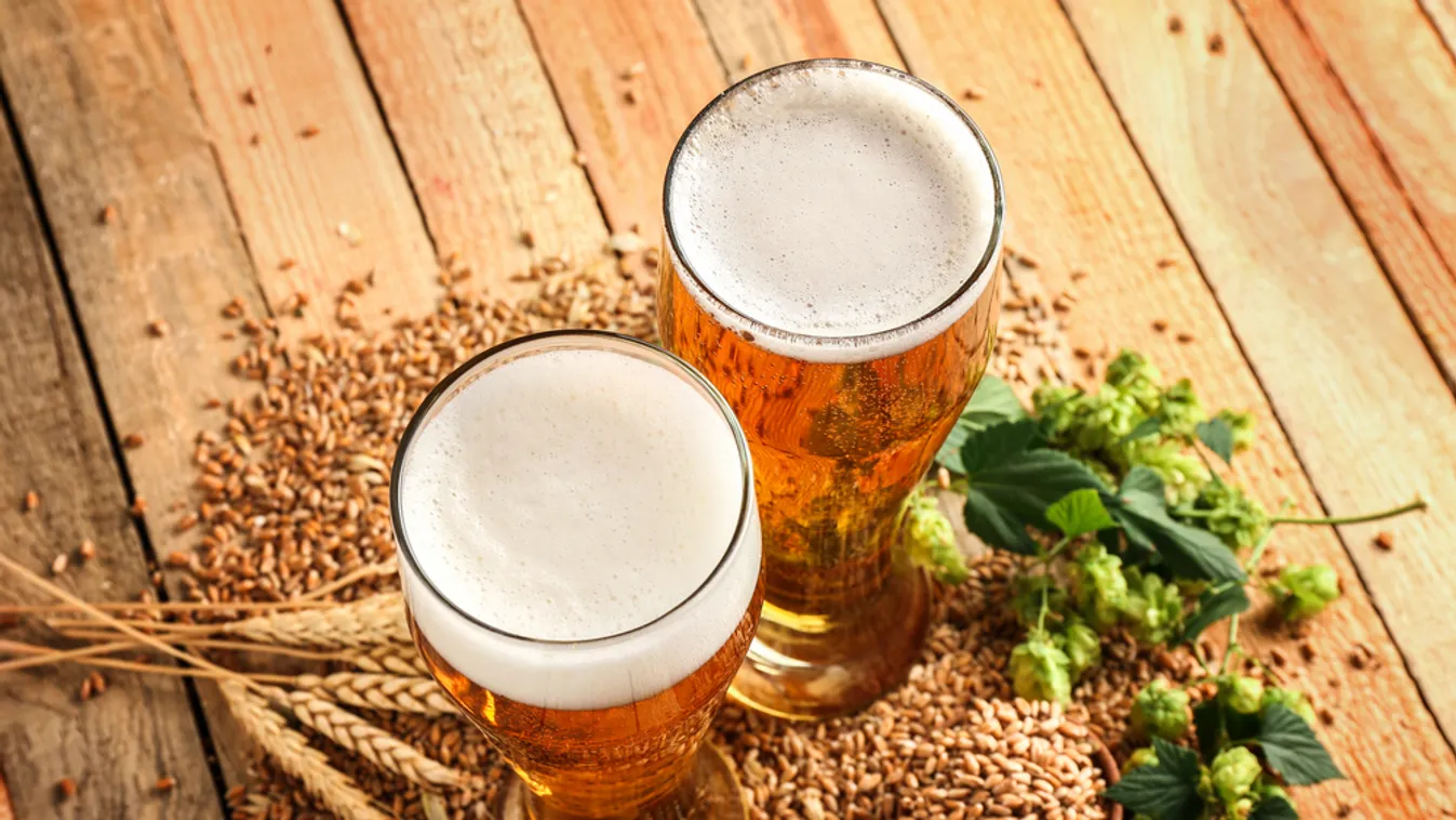 Magyar biosör-termékcsaládot fejlesztettek ki alternatív gabonafélékből