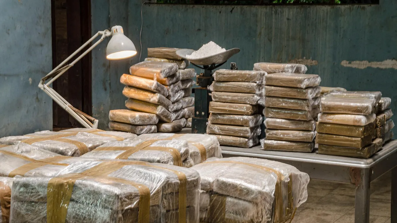 Fagyasztott halakban csempészték az 1,3 tonnányi kokaint