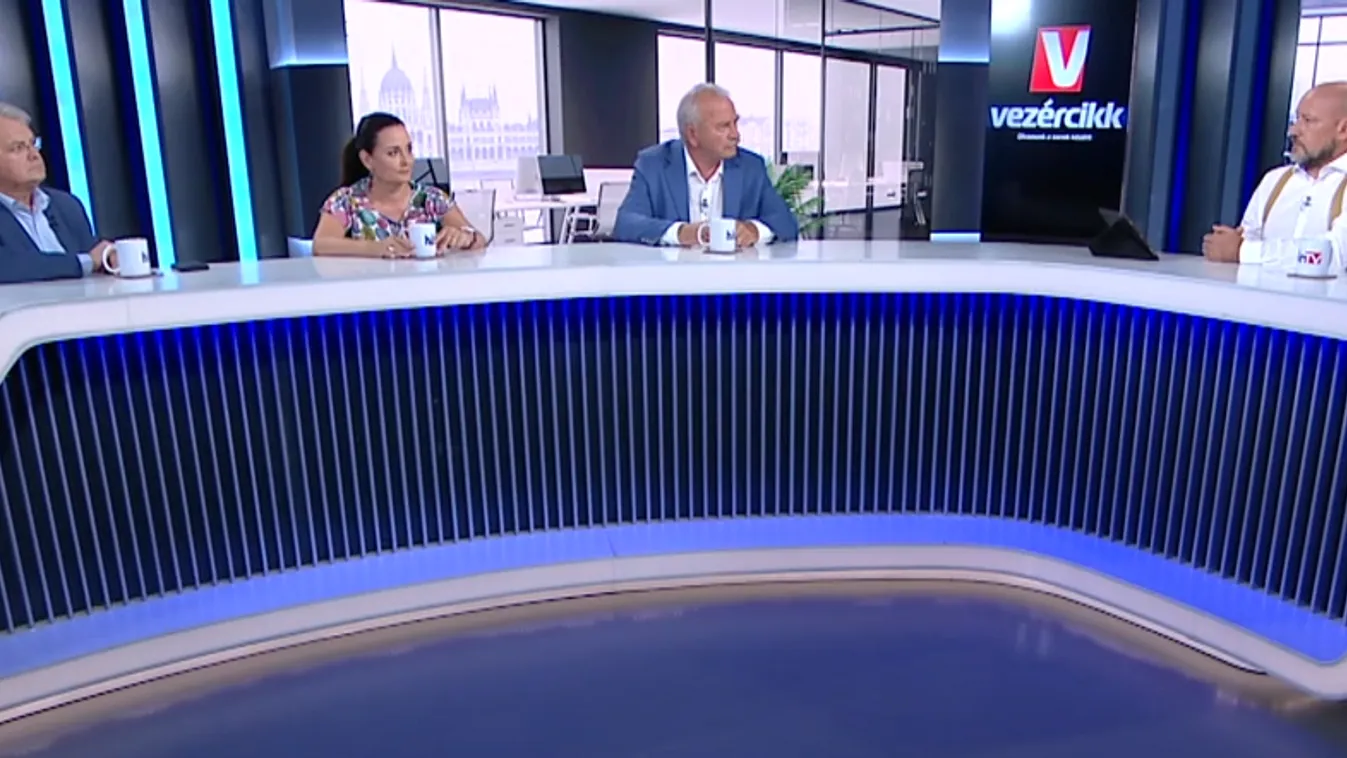 Vezércikk: A gyermekvállalás helyett inkább a migrációt támogatná Németország