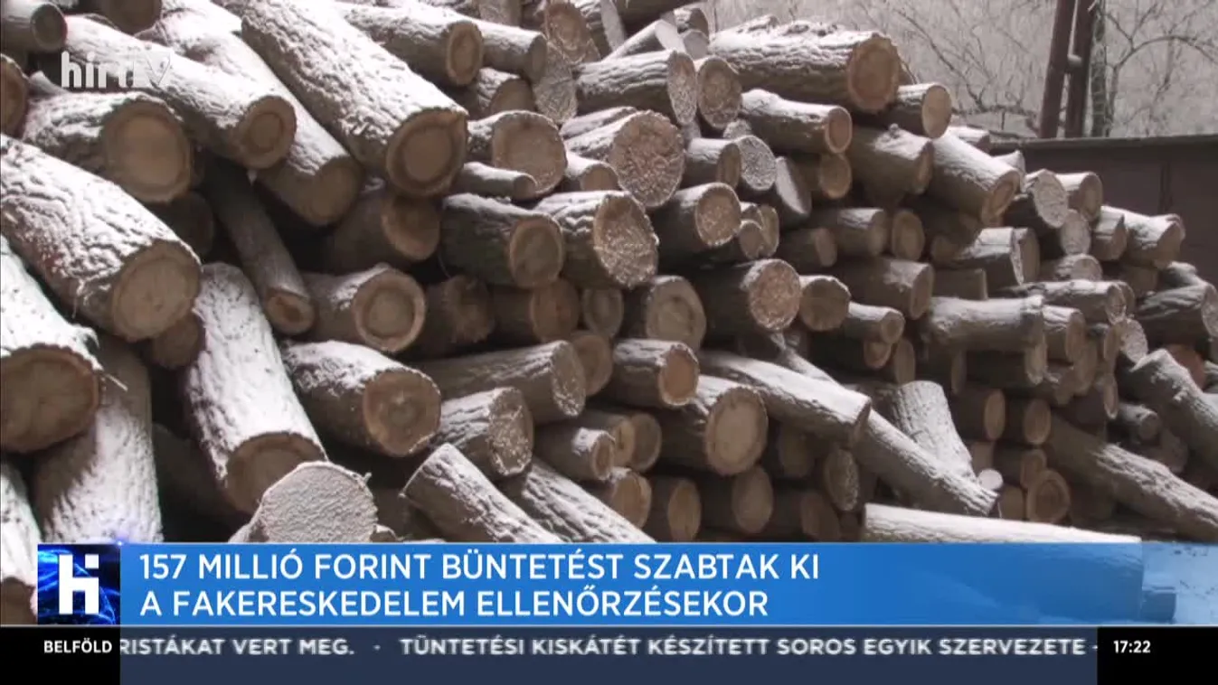 157 millió forint büntetést szabtak ki a fakereskedelem ellenőrzésekor