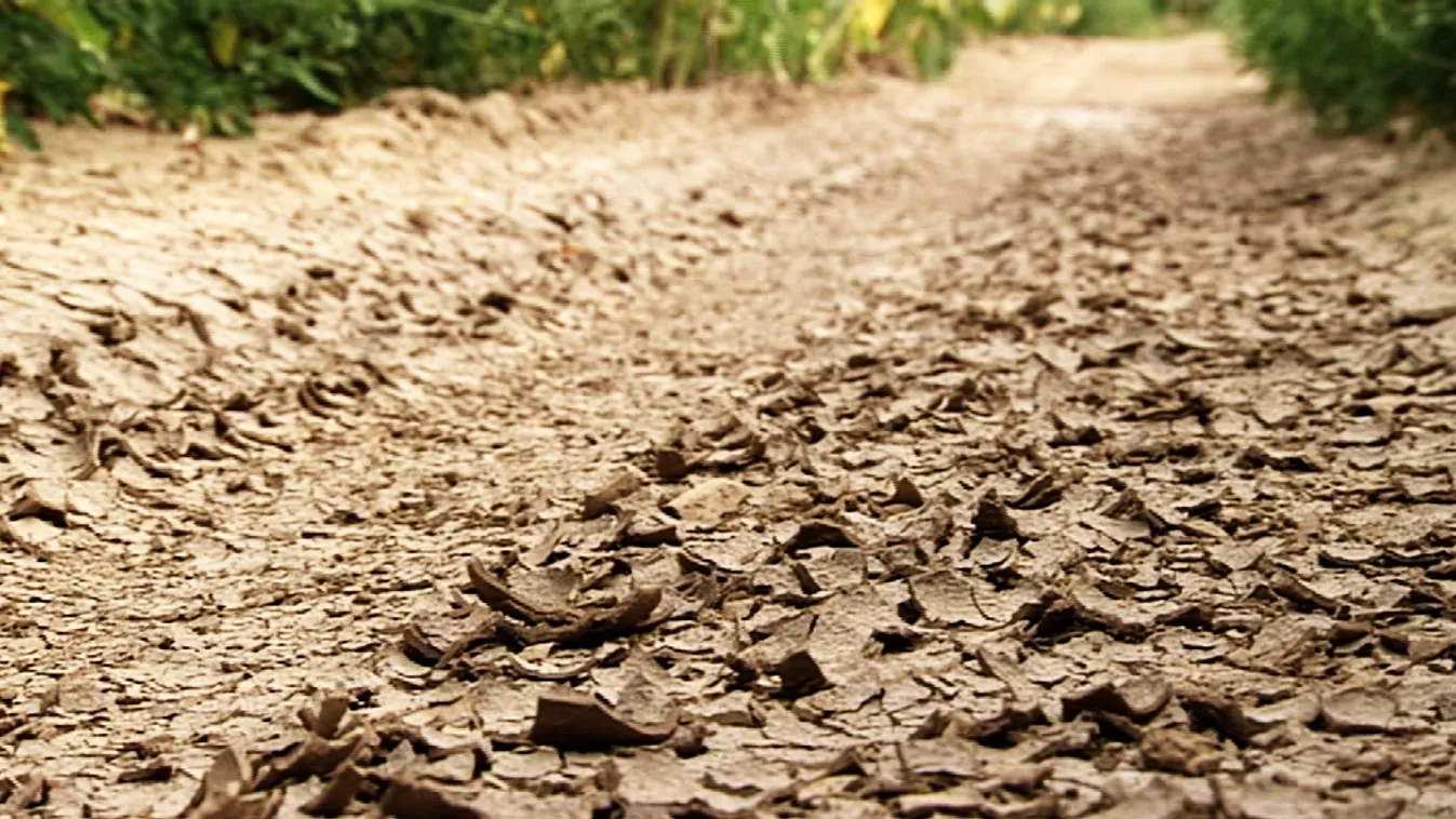 A mostani aszály már nem az az aszály