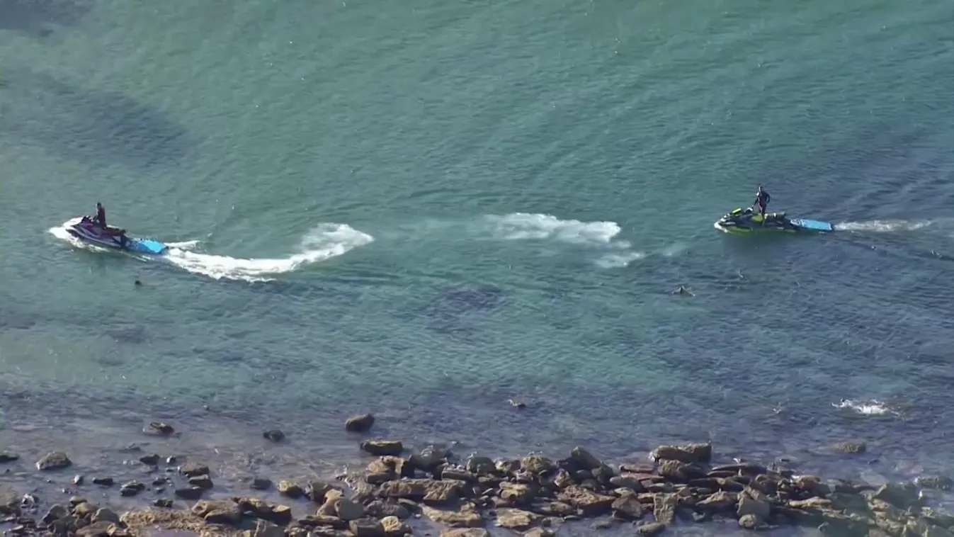 Halálos cápatámadás