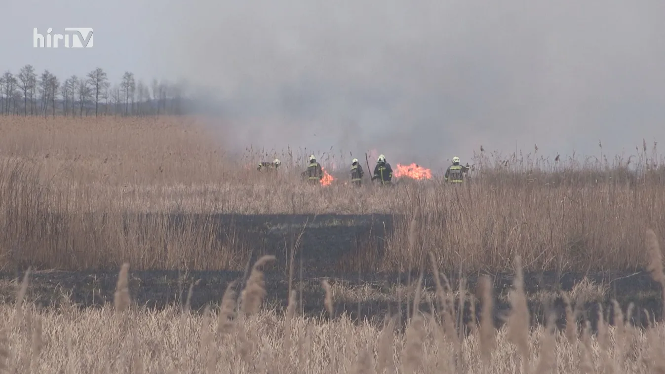 200 hektáron égett a nádas Sármelléknél