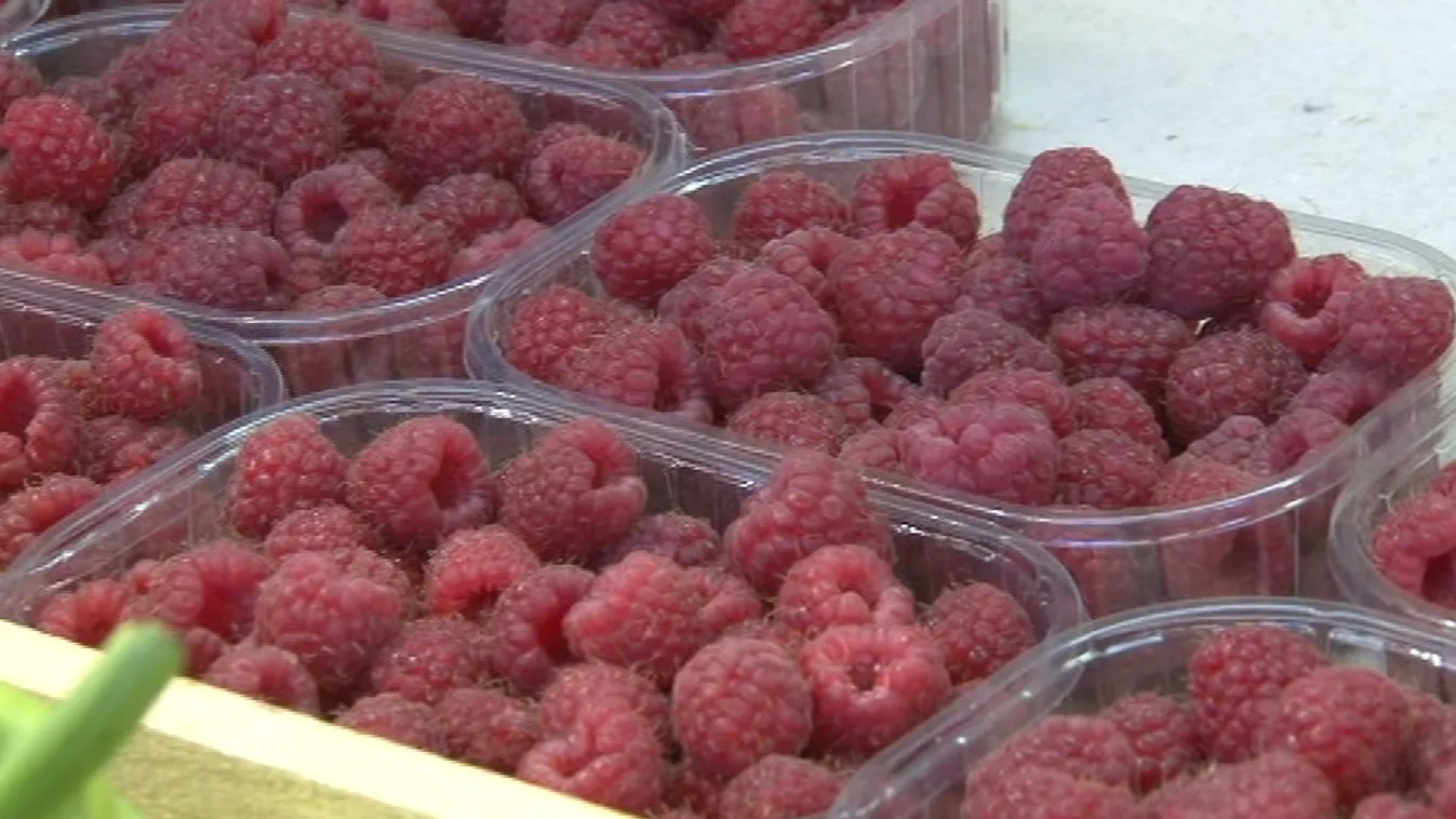 Pár év alatt eltűnhet a málna és a szeder Magyarországon