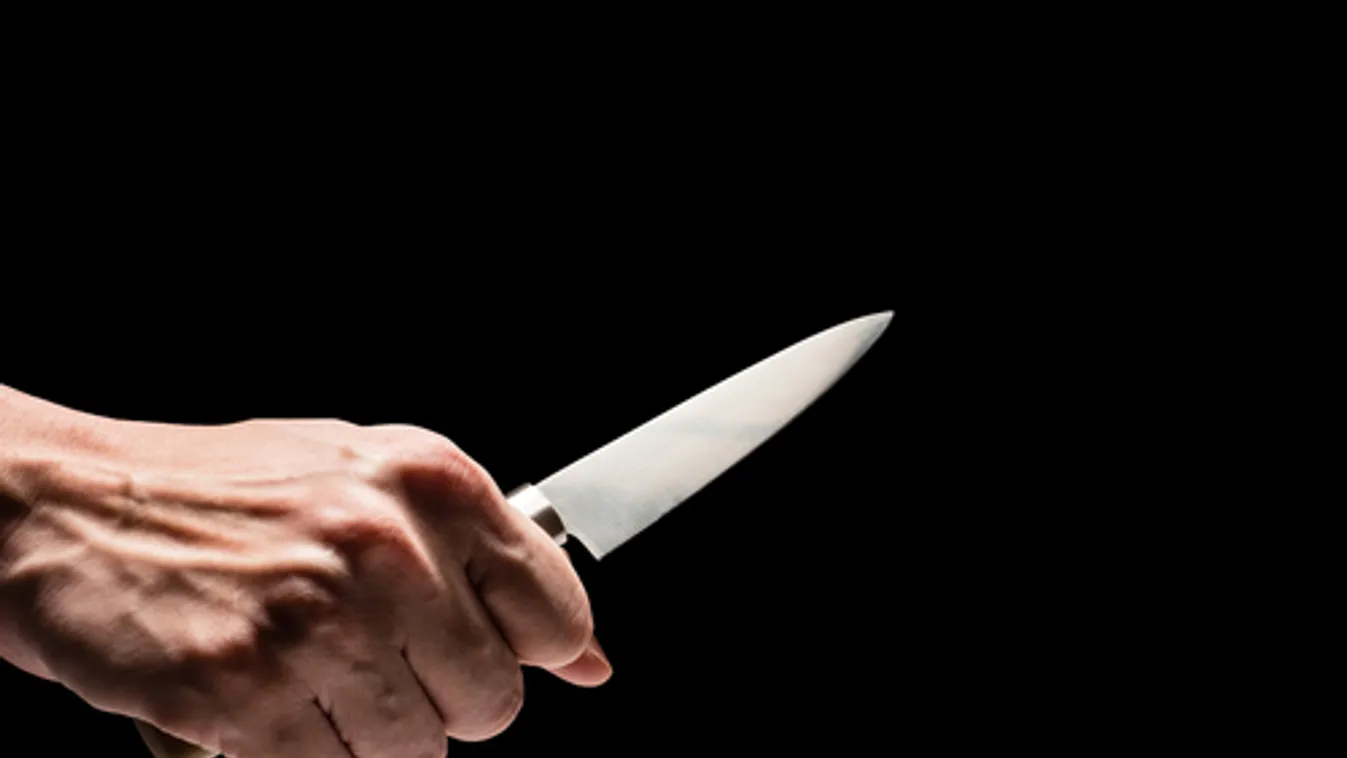 Megölte apját egy tizenöt éves fiú Orgoványban