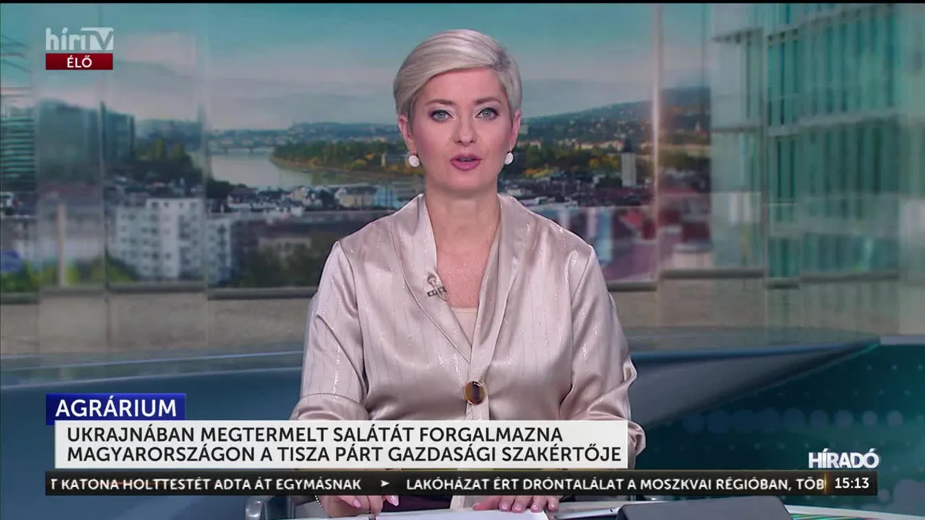 UKRAJNÁBAN MEGTERMELT SALÁTÁT FORGALMAZNA MAGYARORSZÁGON A TISZA PÁRT GAZDASÁGI SZAKÉRTŐJE