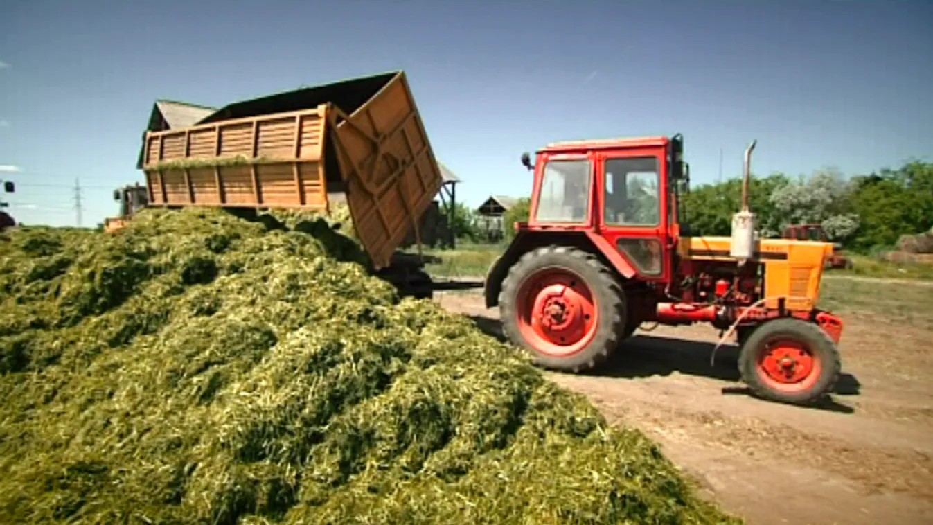 Postás, informatikus, könyvtáros is kapott földet