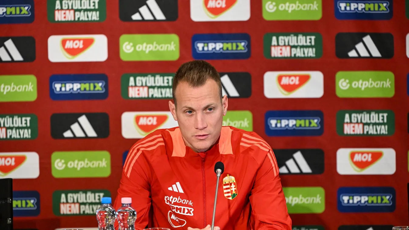 Lang Ádám megsérült