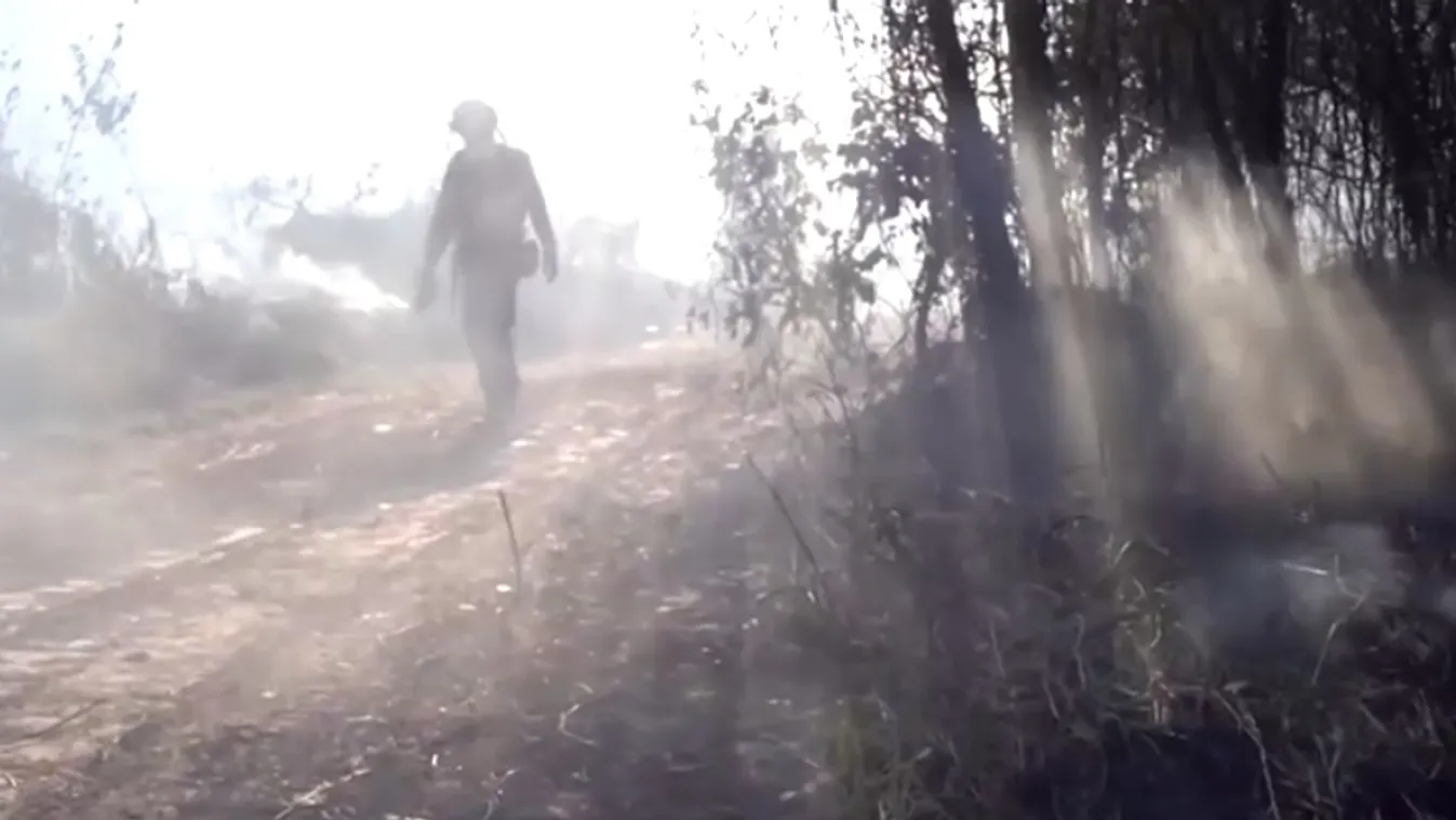 Súlyos károkat okoznak a Pantanalban pusztító tüzek