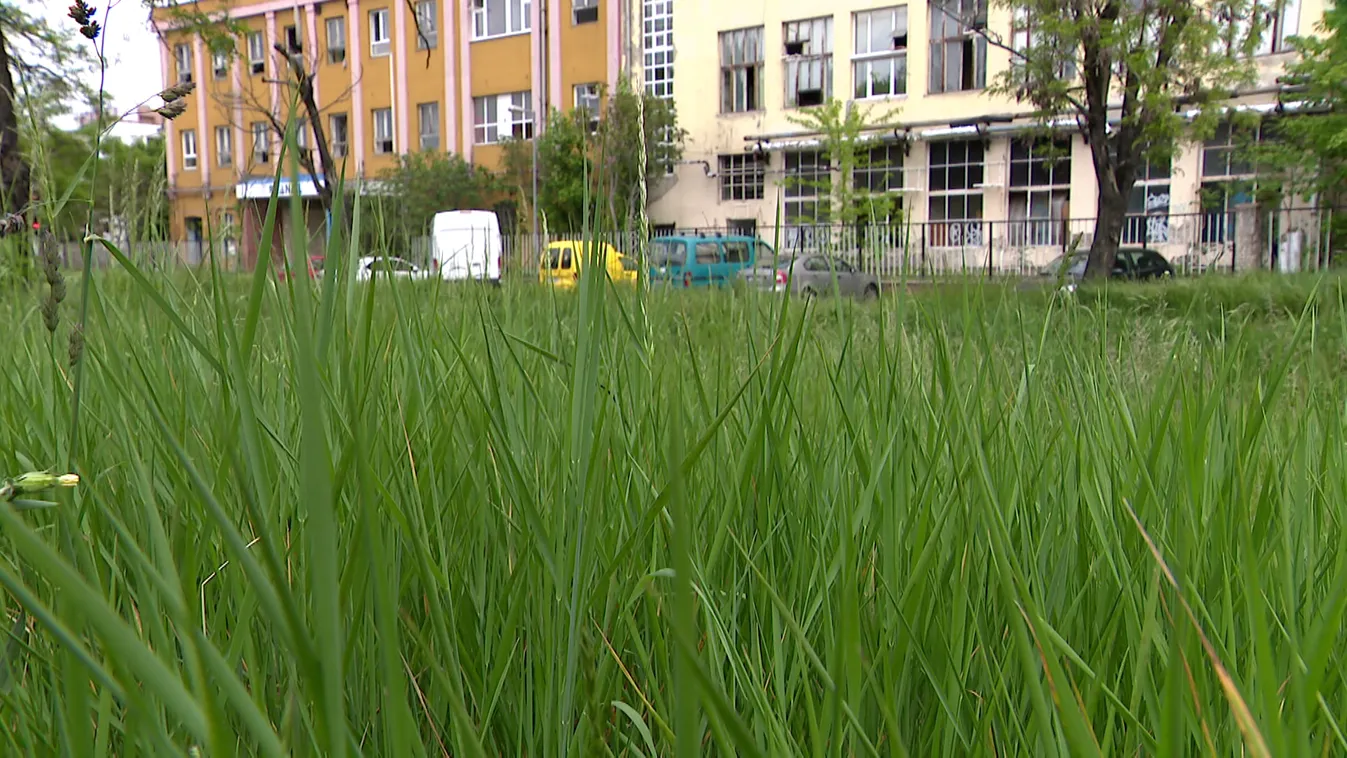 A baloldal „zöldítése” csak gyomos és gondozatlan közterületeket eredményezett